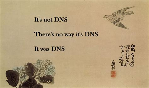 always_dns